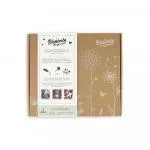 Blossombs Seed Bombs - Medium Gift Set (9 pcs) - cadeau original et pratique à la fois