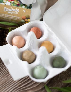 Seed Bombs - Egg Gift Box - Spring (6 pcs) - fleurs des prairies sauvages