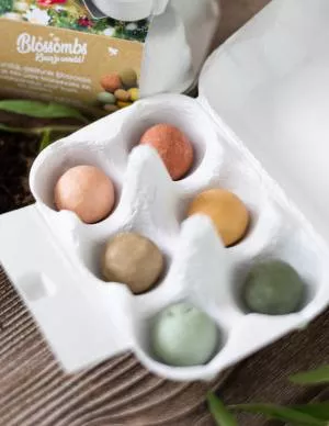 Blossombs Seed Bombs - Egg Gift Box - Spring (6 pcs) - fleurs des prairies sauvages