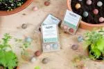 Blossombs Seed Bombs - Tiny gift (2 pcs) - cadeau original et pratique à la fois