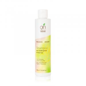 Shampooing pour cheveux gras BIO (200 ml)