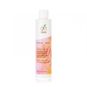 Shampooing pour cheveux secs BIO (200 ml) - idéal pour les pointes fourchues