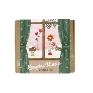 Blossombs Bombes de graines - Coffret moyen - Noël magique (9 pièces)