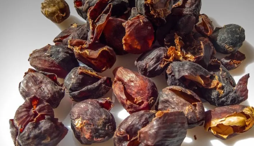 Découvrez la magie de la cascara et ses bienfaits