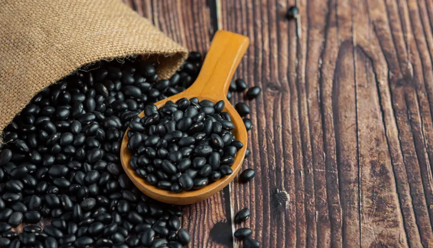 La salade de lentilles noires est le plat idéal pour tout le monde.