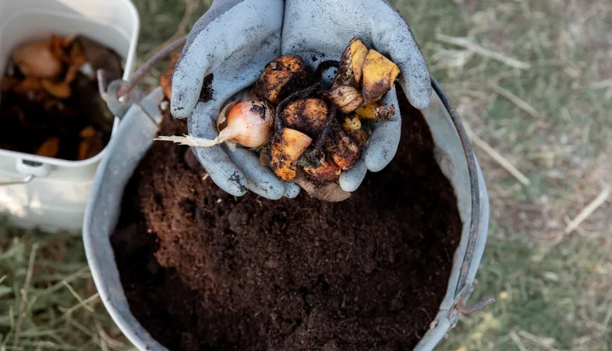 Ce que vous pouvez composter et ce qu'il vaut mieux éviter