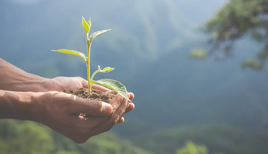 # Qu'est-ce que le greenwashing et comment le reconnaître

Le greenwashing, ou 