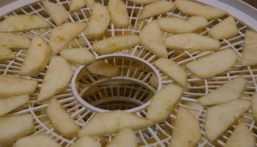 Comment obtenir des chips de pomme parfaites directement du déshydrateur