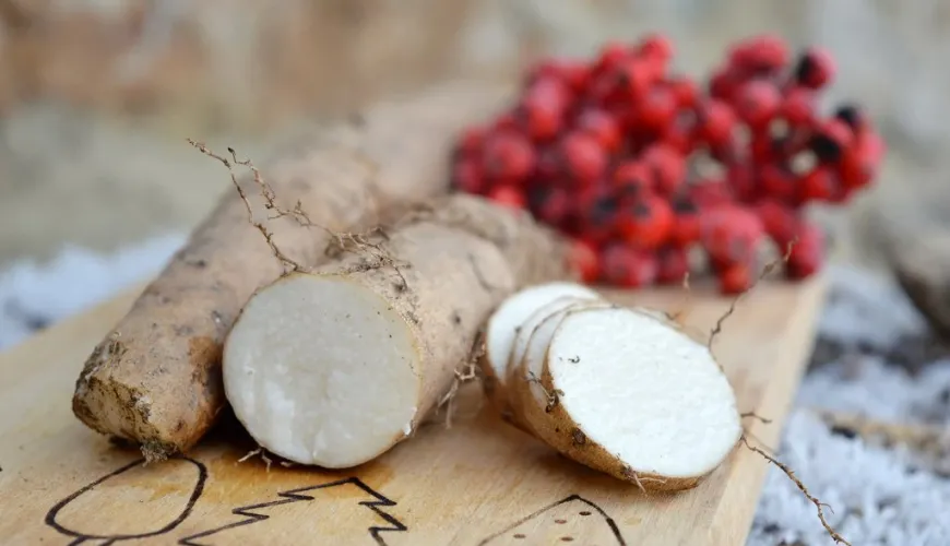 Le merveilleux tubercule lumineux pour une vie saine et équilibrée