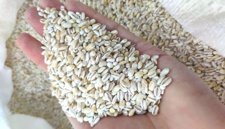 Apprenez à cuisiner facilement des grains étape par étape